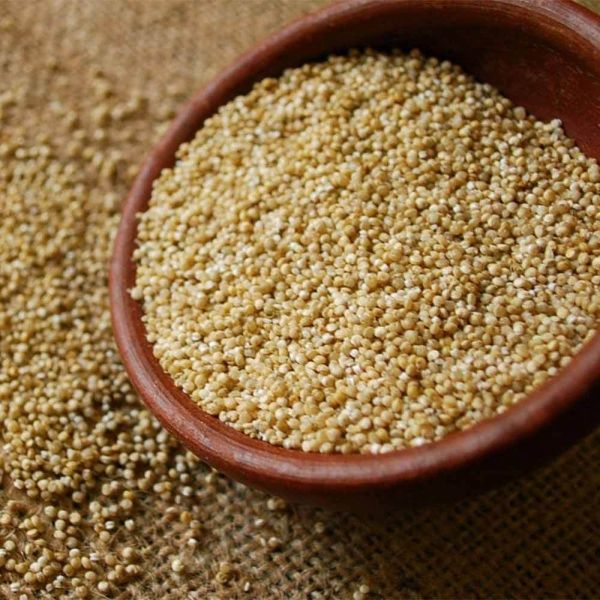 Quinoa Grãos